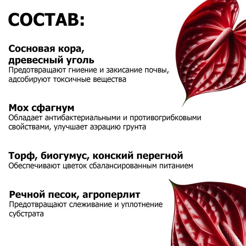75d5c218-5db7-11ee-8489-00d8617040a4_4