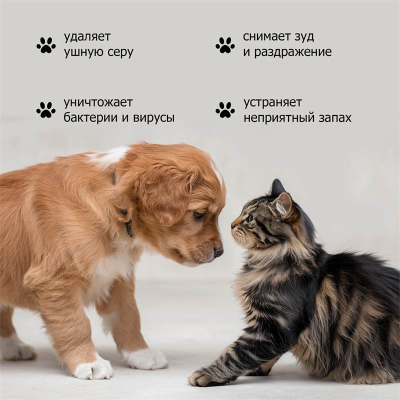 61c2fa44-6d3d-11f0-84b8-00d8617040a4-purshatzoocosmet_4