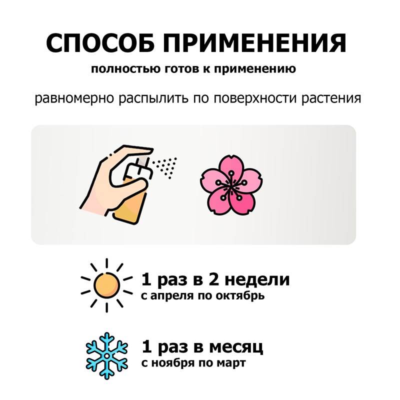 89e3727e-6e21-11ef-84a0-00d8617040a4_6