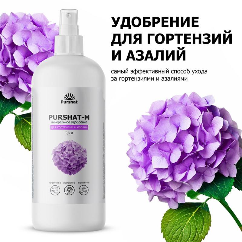 cd23a54c-09c8-11ea-94b7-6cf049e48517_1