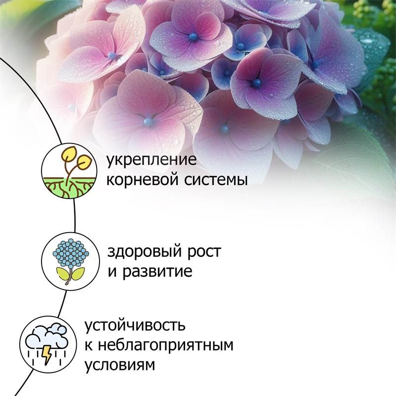 cd23a54c-09c8-11ea-94b7-6cf049e48517_3