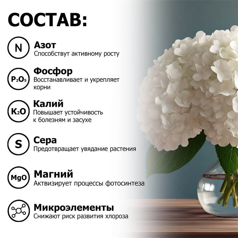 cd23a54c-09c8-11ea-94b7-6cf049e48517_4