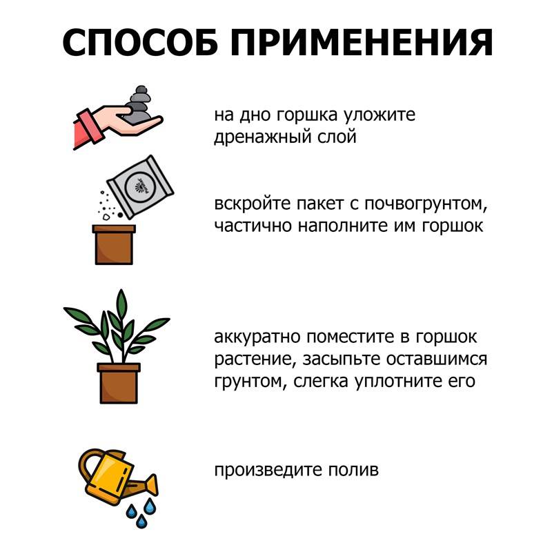 ea7b8bbf-3477-11ef-849d-00d8617040a4_5