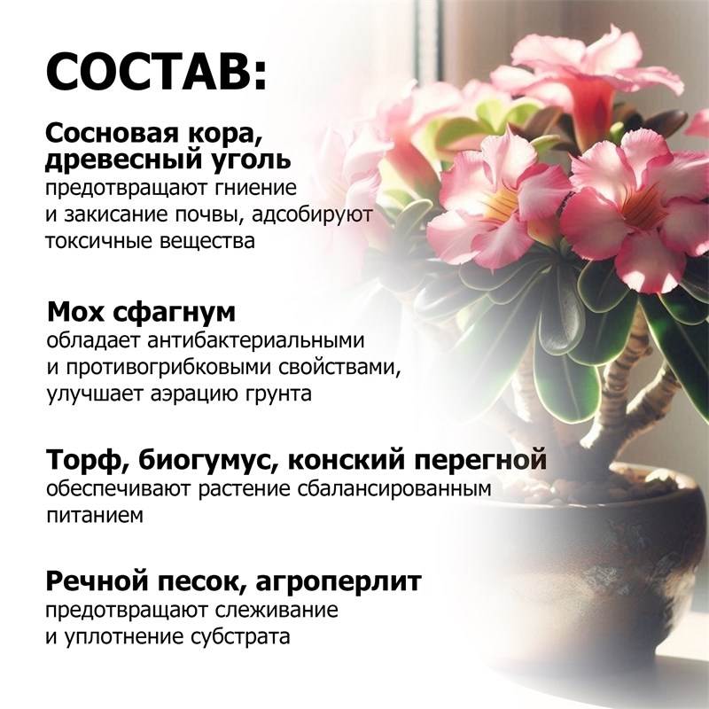 15fa1121-8628-11ef-84a1-00d8617040a4_5