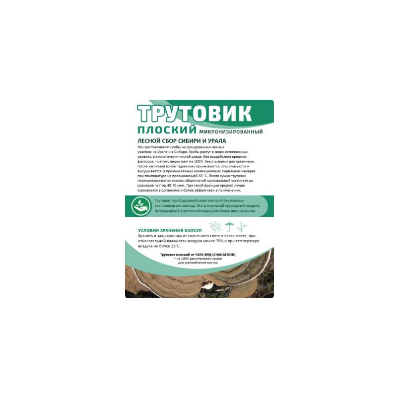 Снимок экрана 2025-06-18 012253