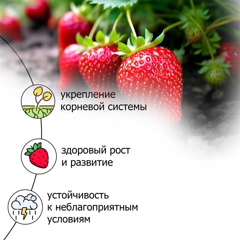 939a2744-2615-11ea-b8c2-00d8617040a4_5