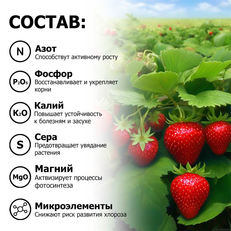 939a2744-2615-11ea-b8c2-00d8617040a4_6