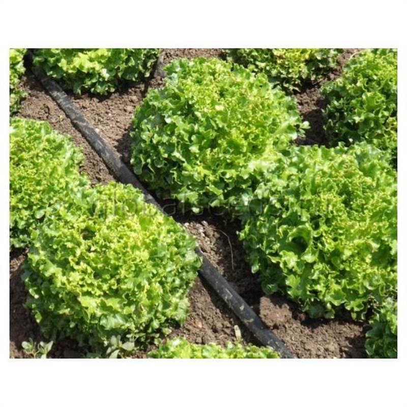 Снимок экрана 2025-04-17 120315