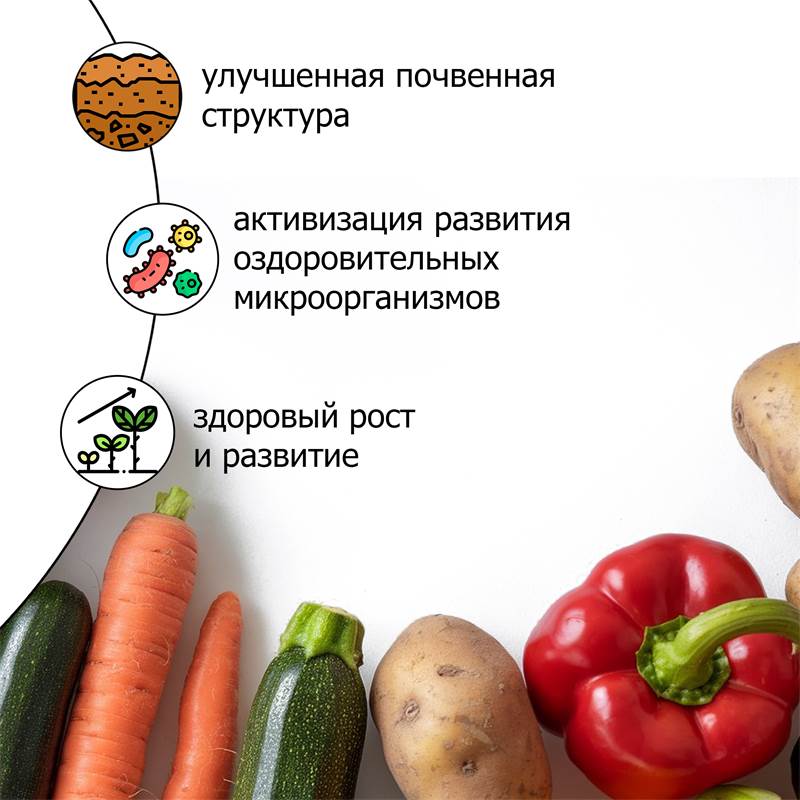 546dfb16-69b4-11ee-848b-00d8617040a4_4