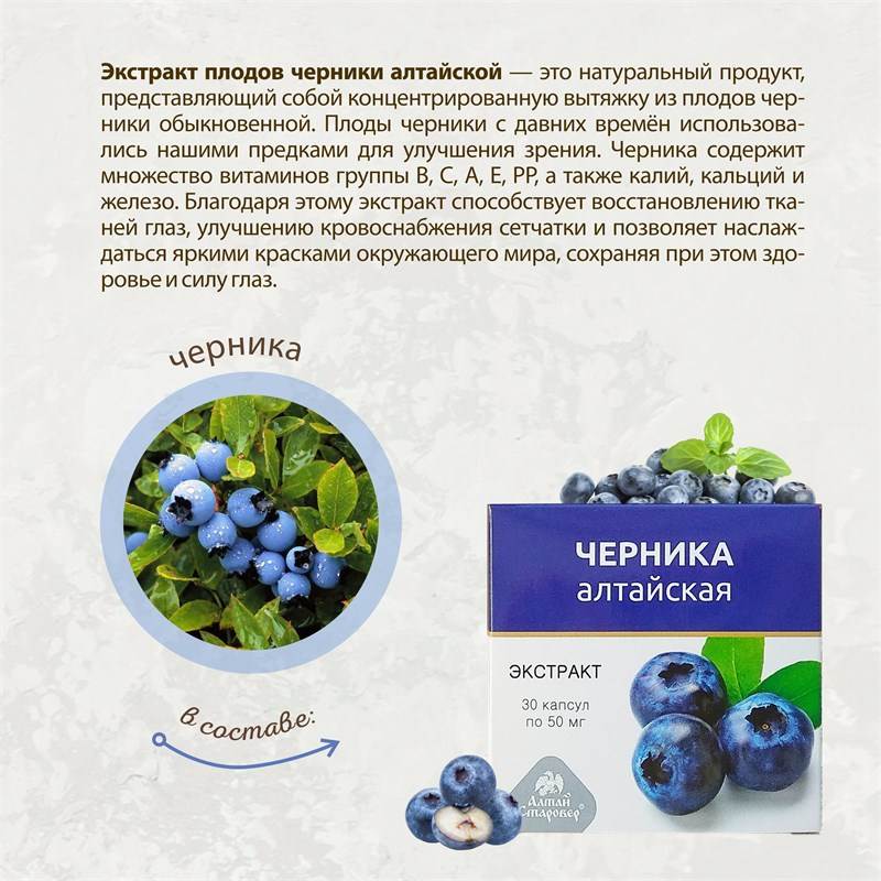 черника 2