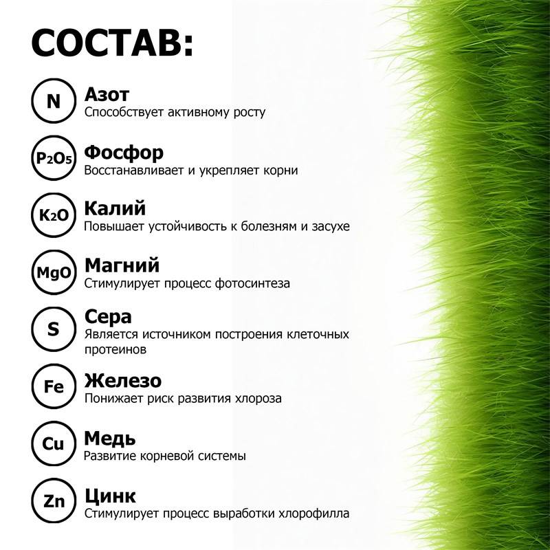 500fc2f0-0971-11ed-b951-00d8617040a4_4