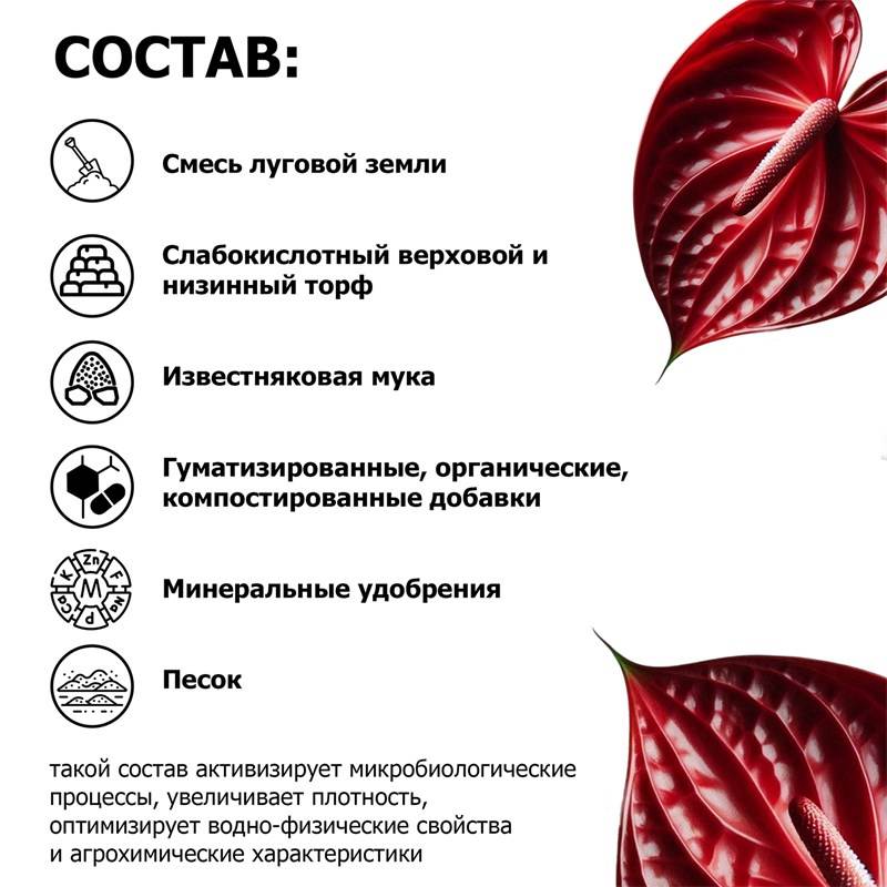ae516b6e-9514-11ea-b8ee-00d8617040a4_4