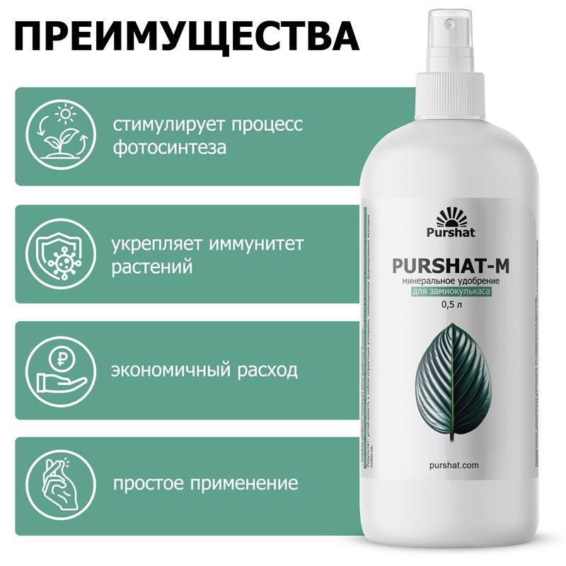 890fe88a-2800-11ef-849d-00d8617040a4_2