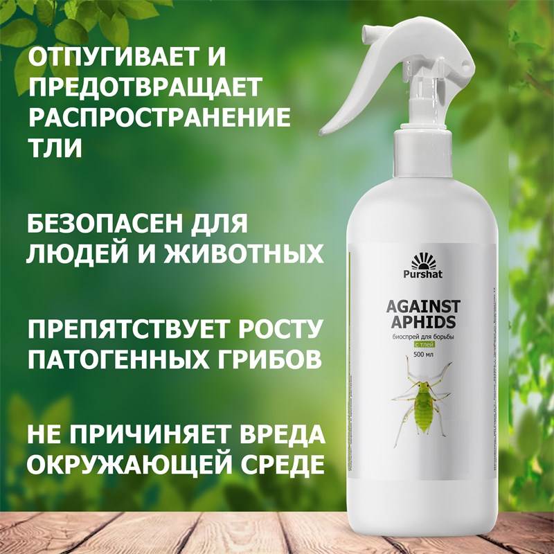 6c8e123a-2fb5-11ef-849d-00d8617040a4_4