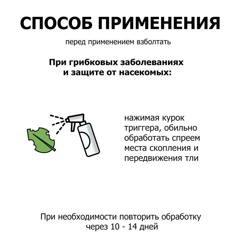 6c8e123a-2fb5-11ef-849d-00d8617040a4_5