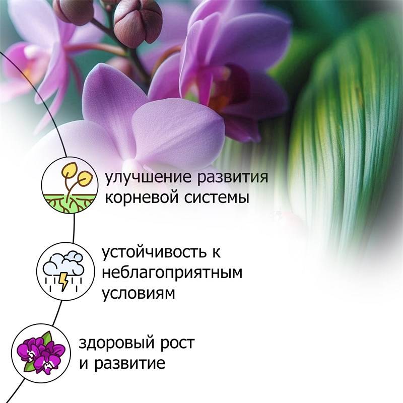 a11cccbf-a112-11eb-b911-00d8617040a4_3