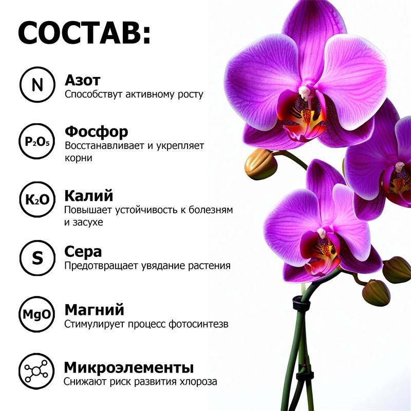 a11cccbf-a112-11eb-b911-00d8617040a4_4