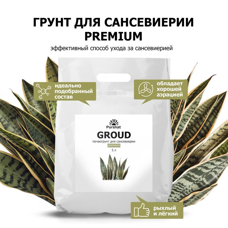 cfb28356-0493-11f0-84b5-00d8617040a4_2