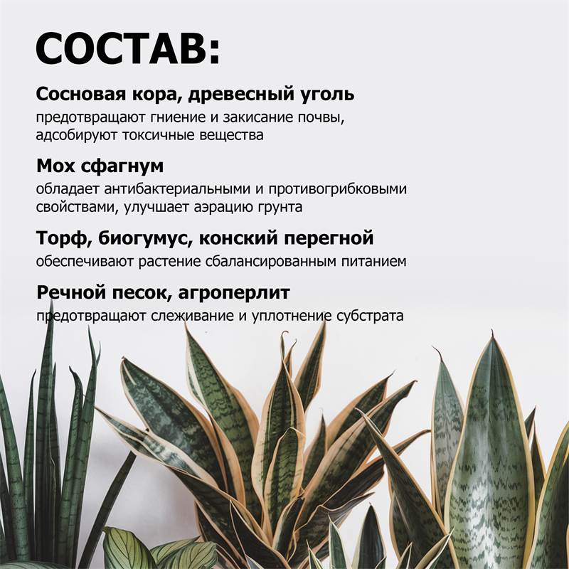 cfb28356-0493-11f0-84b5-00d8617040a4_5