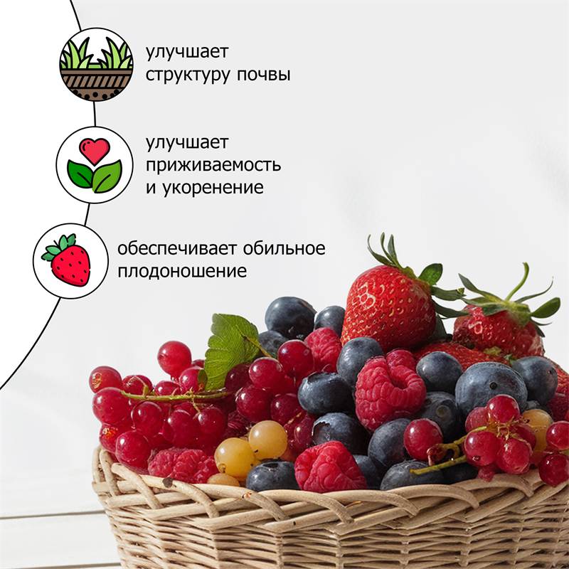 b21255e9-ea03-11ef-84ab-00d8617040a4_5