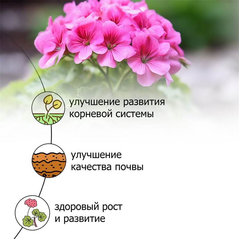 1a9d19a4-9516-11ea-b8ee-00d8617040a4_3