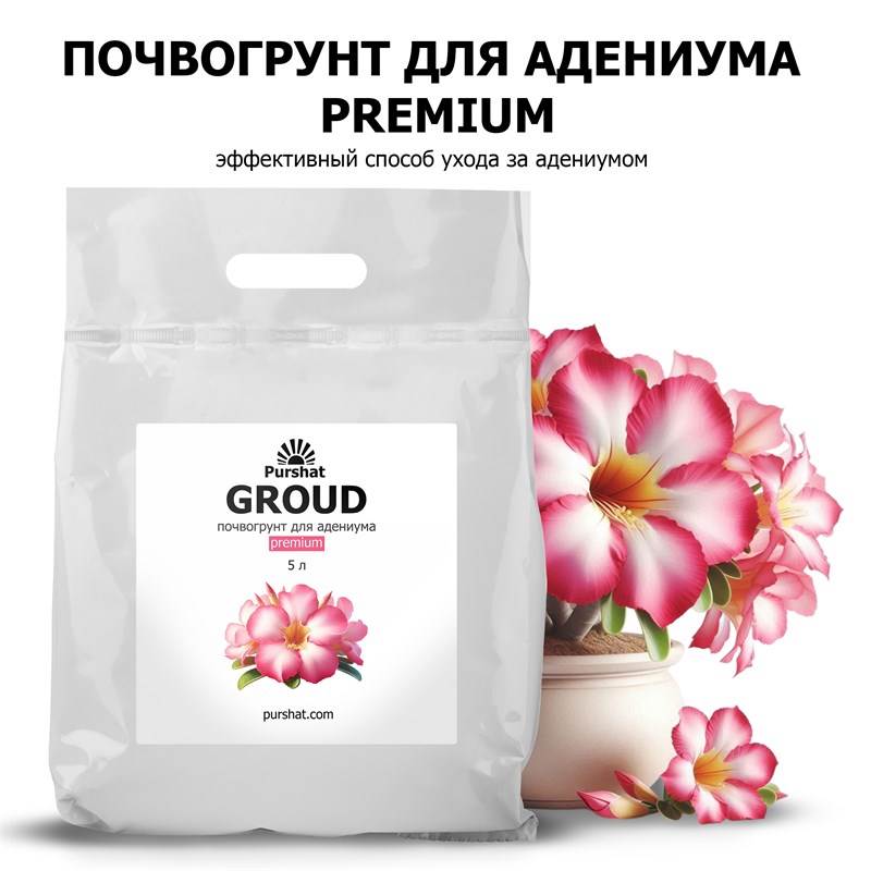 dd0de9e9-69b6-11ef-849f-00d8617040a4_2