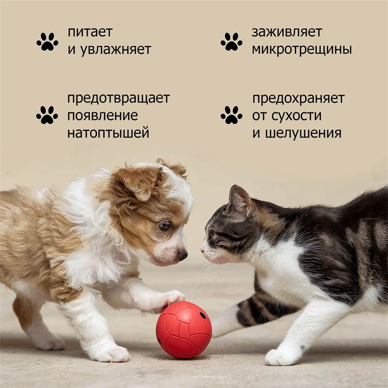 0ddfbf61-58f3-11f0-84b8-00d8617040a4-purshatzoocosmet_3