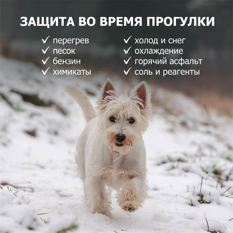 0ddfbf61-58f3-11f0-84b8-00d8617040a4-purshatzoocosmet_5