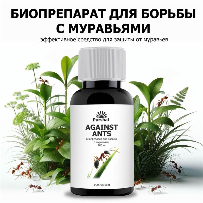53bd97d1-19bb-11ef-849d-00d8617040a4_1