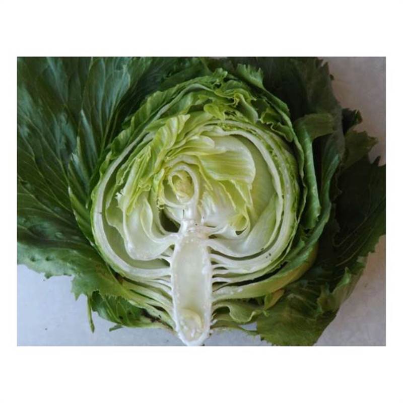 Снимок экрана 2025-04-18 090830