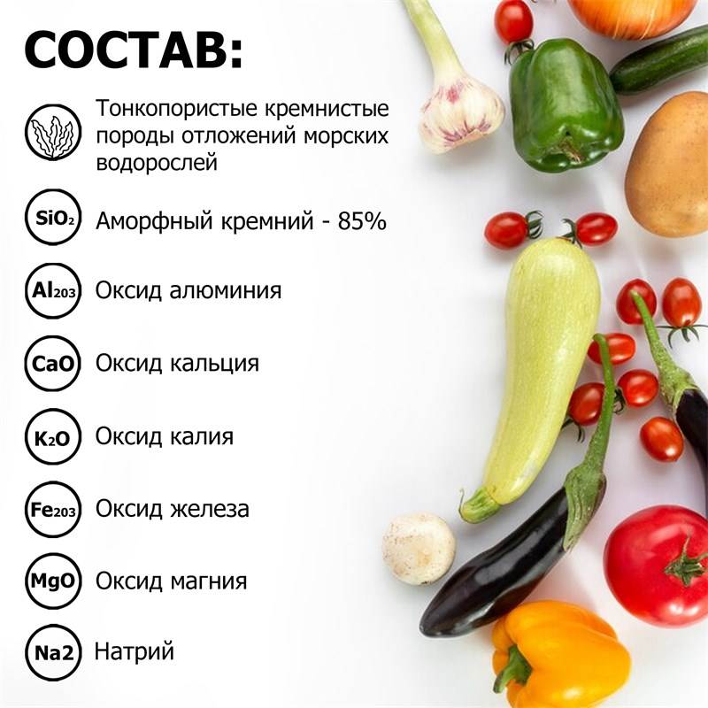 ad08fdeb-39de-11ef-849d-00d8617040a4_3