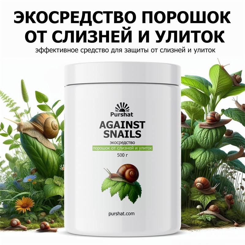 ad08fdeb-39de-11ef-849d-00d8617040a4_8