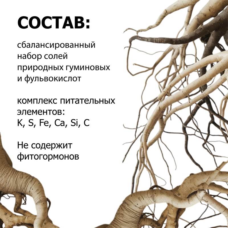 9588127d-9564-11ef-84a2-00d8617040a4_6