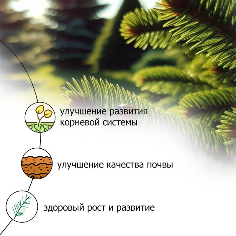 9c496fc9-62bb-11ee-8489-00d8617040a4_5