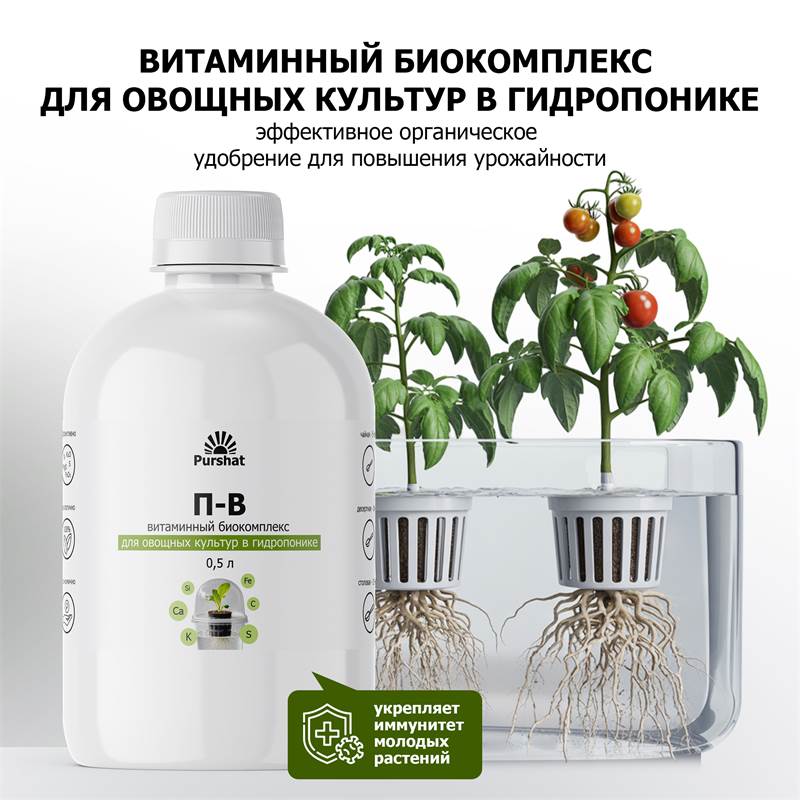 aaac5eba-0802-11f1-84b8-00d8617040a4_3