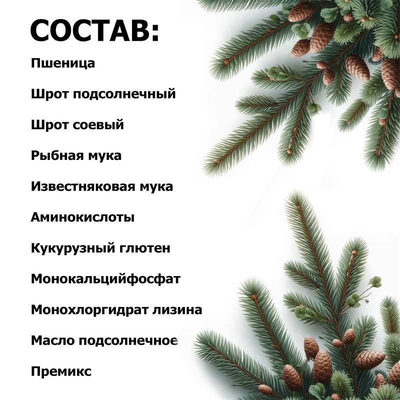 81014236-2eba-11ef-849d-00d8617040a4_4