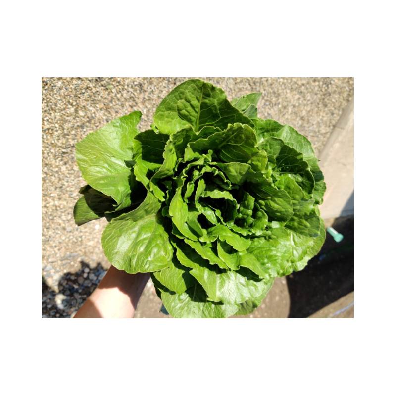 Снимок экрана 2025-04-18 091343