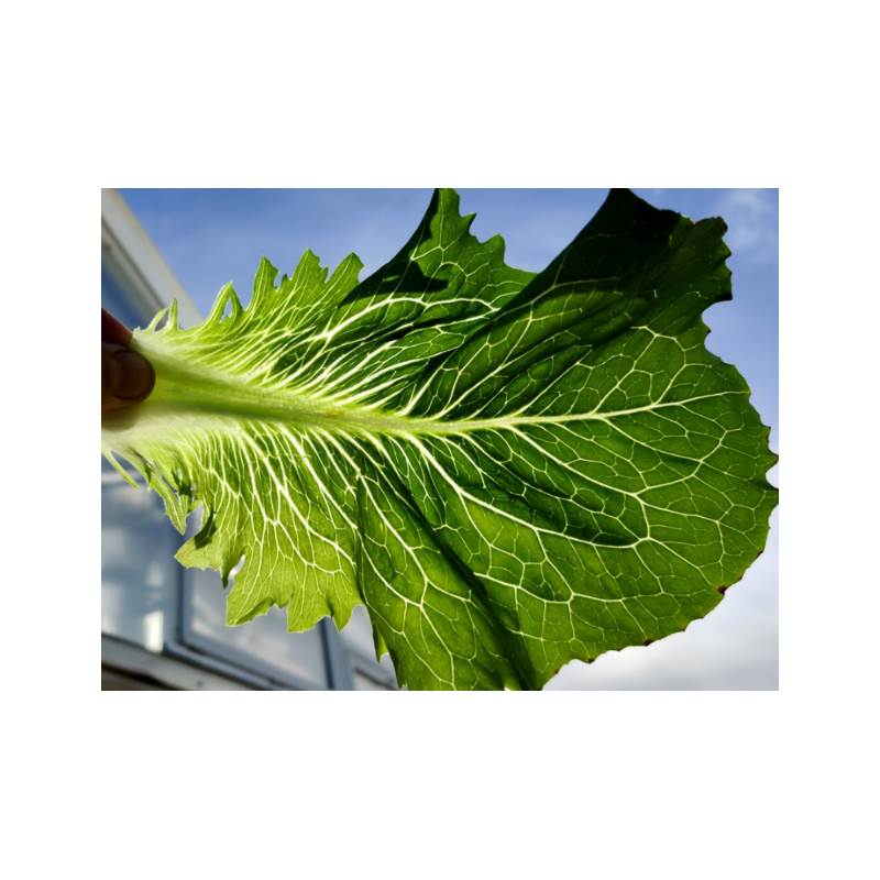 Снимок экрана 2025-04-18 091351