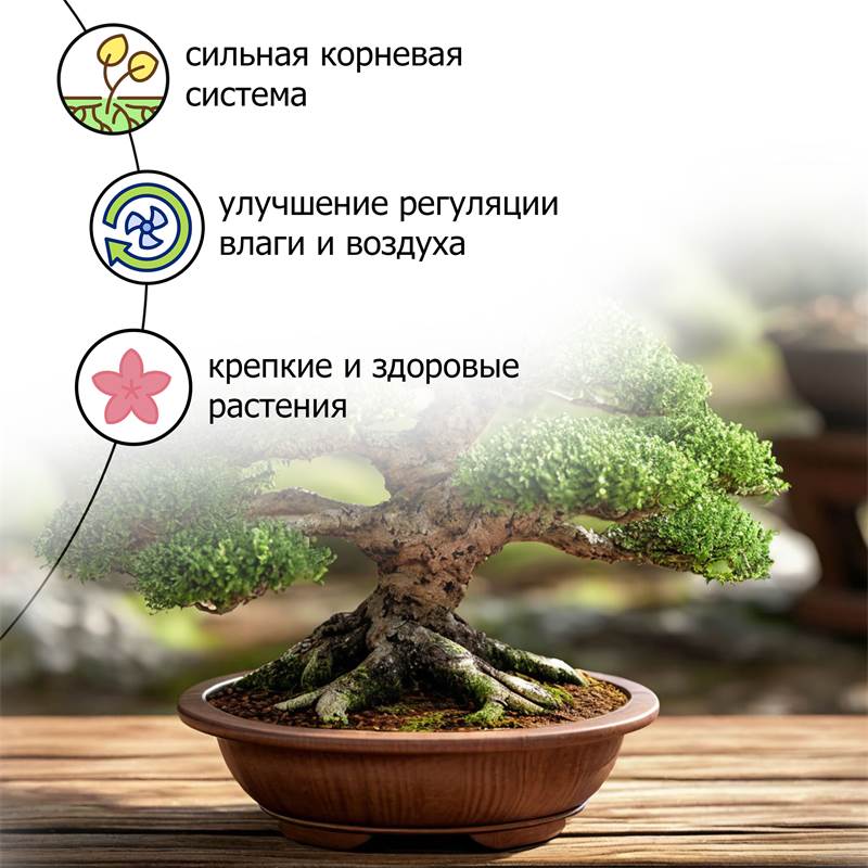 ffab5edf-fc85-11ee-849d-00d8617040a4_4