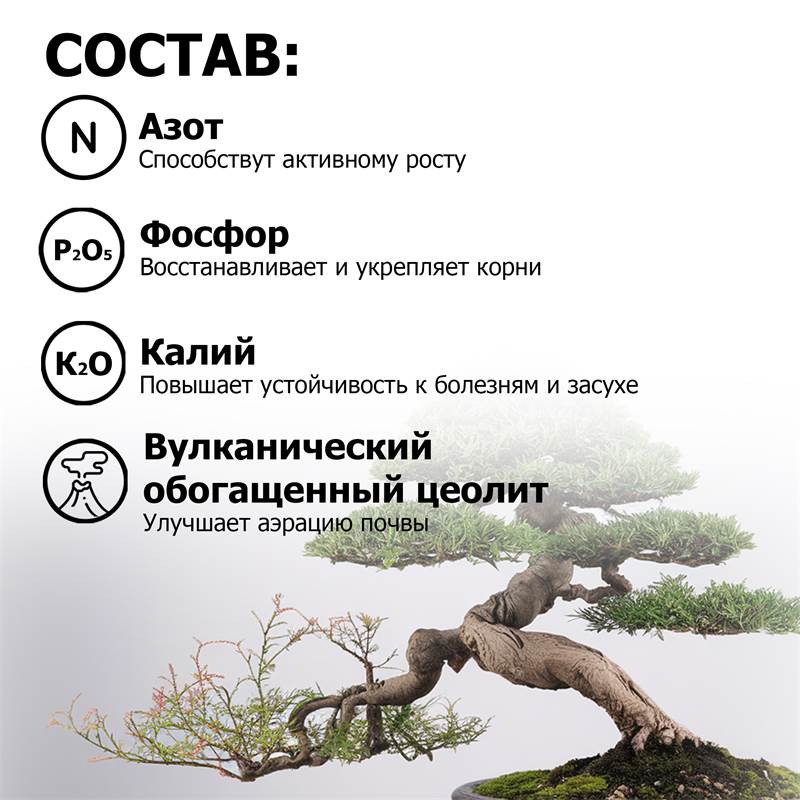 ffab5edf-fc85-11ee-849d-00d8617040a4_5