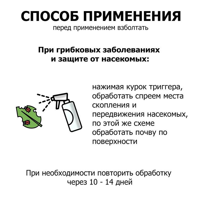 fc246804-2fb4-11ef-849d-00d8617040a4_4