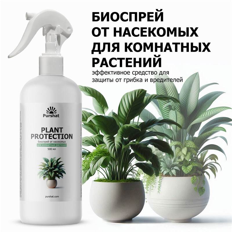 fc246804-2fb4-11ef-849d-00d8617040a4_8