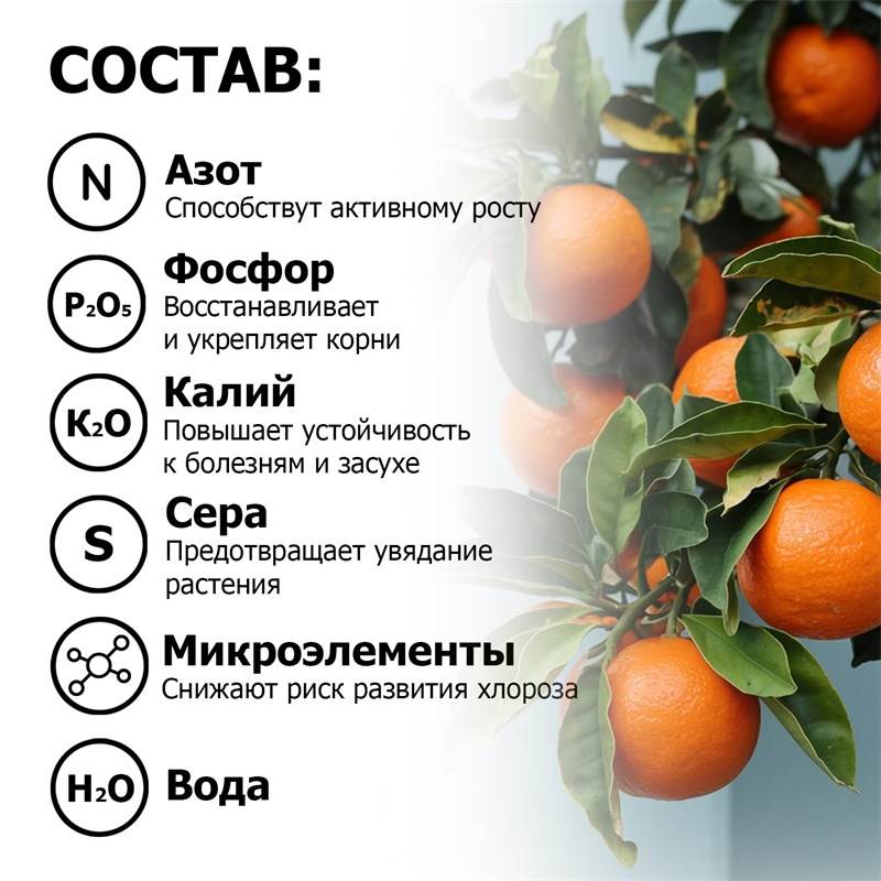 3af6f2d8-2620-11ea-b8c2-00d8617040a4_4