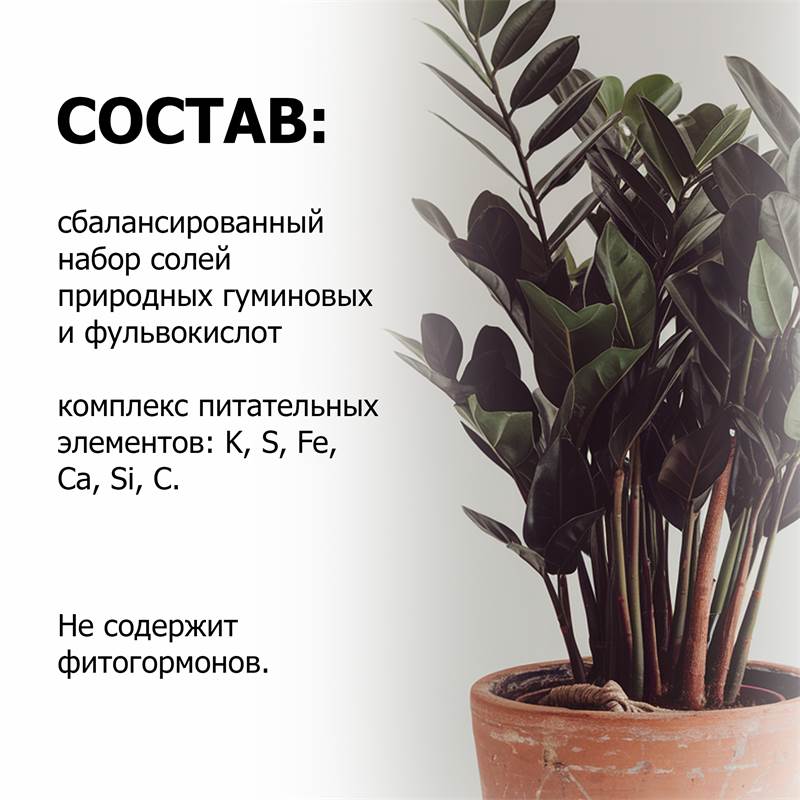 bc382a91-b214-11ef-84a4-00d8617040a4_7