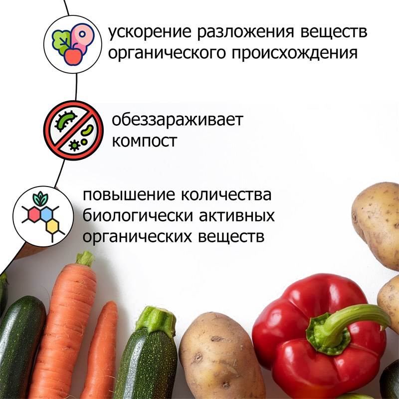 5338ee6e-3826-11ea-b8c7-00d8617040a4_3