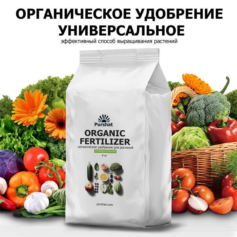 bdf2bbb4-27e9-11ef-849d-00d8617040a4_1