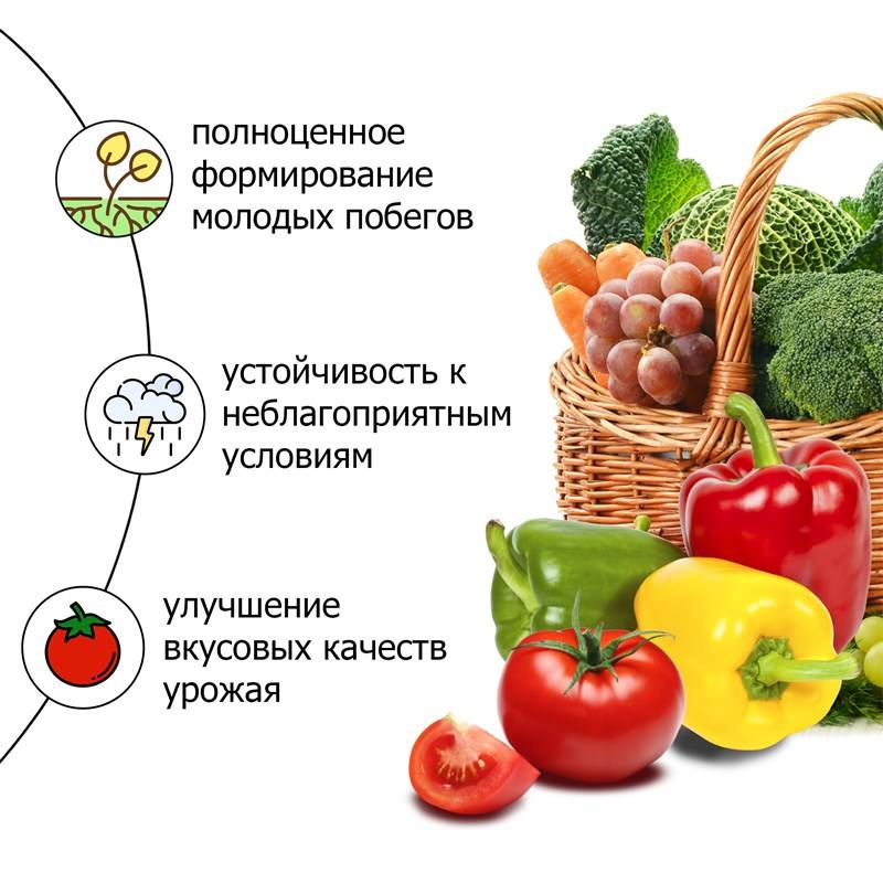 bdf2bbb4-27e9-11ef-849d-00d8617040a4_3