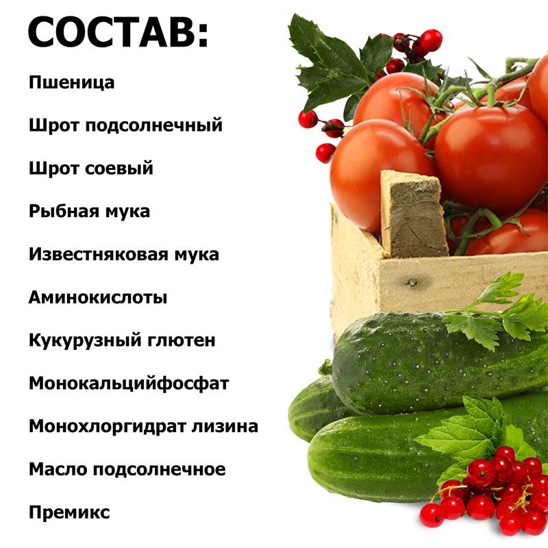 bdf2bbb4-27e9-11ef-849d-00d8617040a4_4