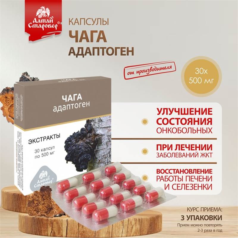 Чага 1-1
