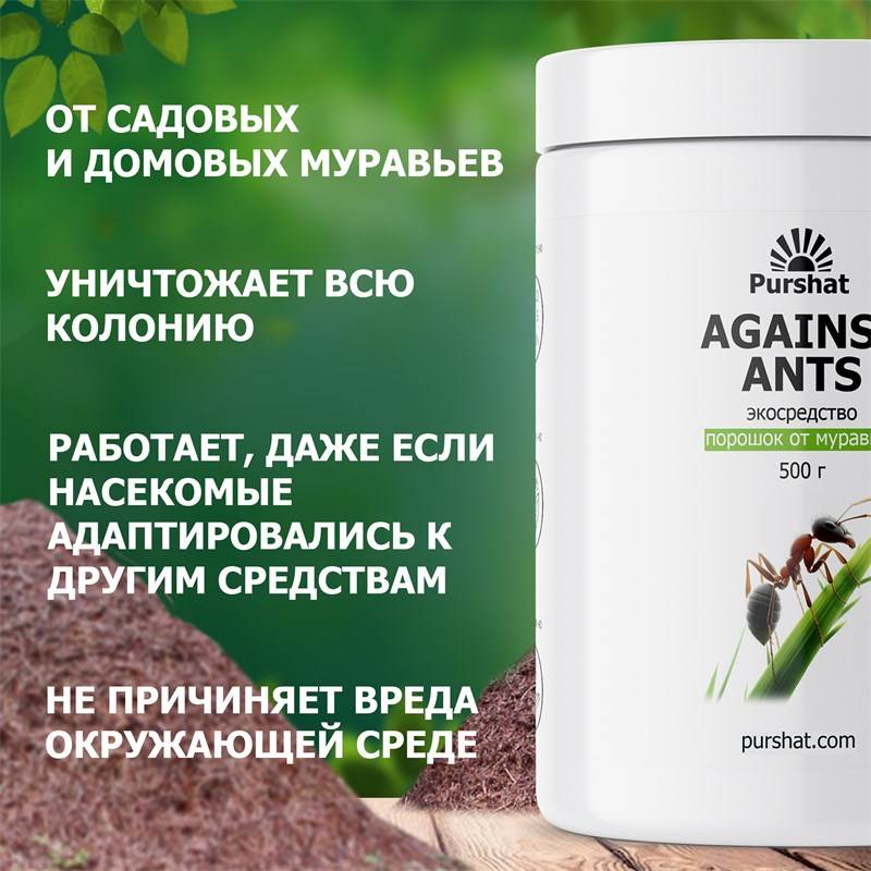 0cf19112-39df-11ef-849d-00d8617040a4_3